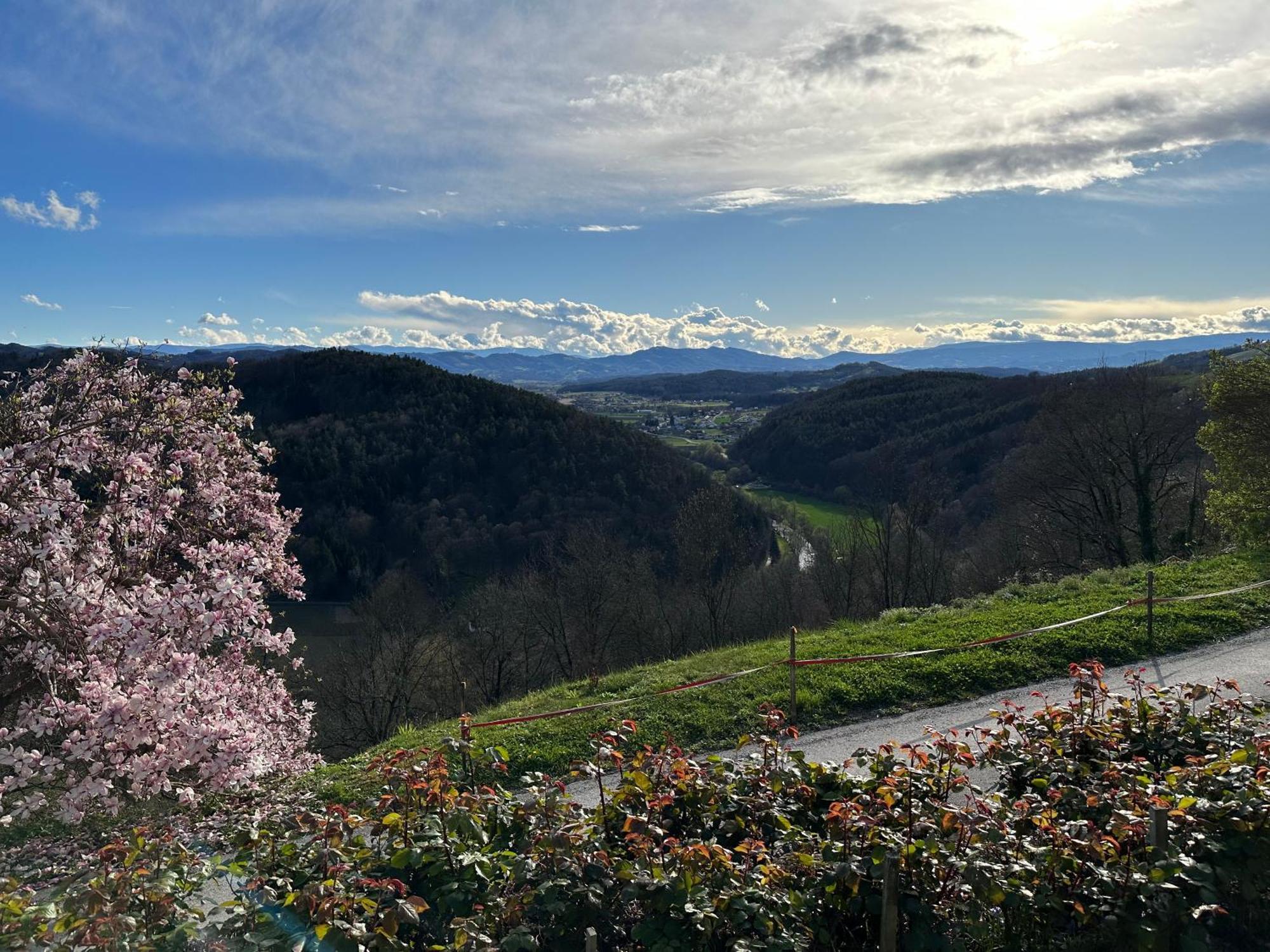 Winzerhaus Roemerstrasse Kitzeck im Sausal Eksteriør bilde